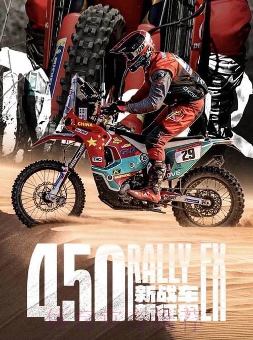 达喀尔拉力赛收官 中国车手表现不俗